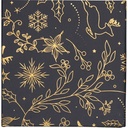 Magical night magnet 08