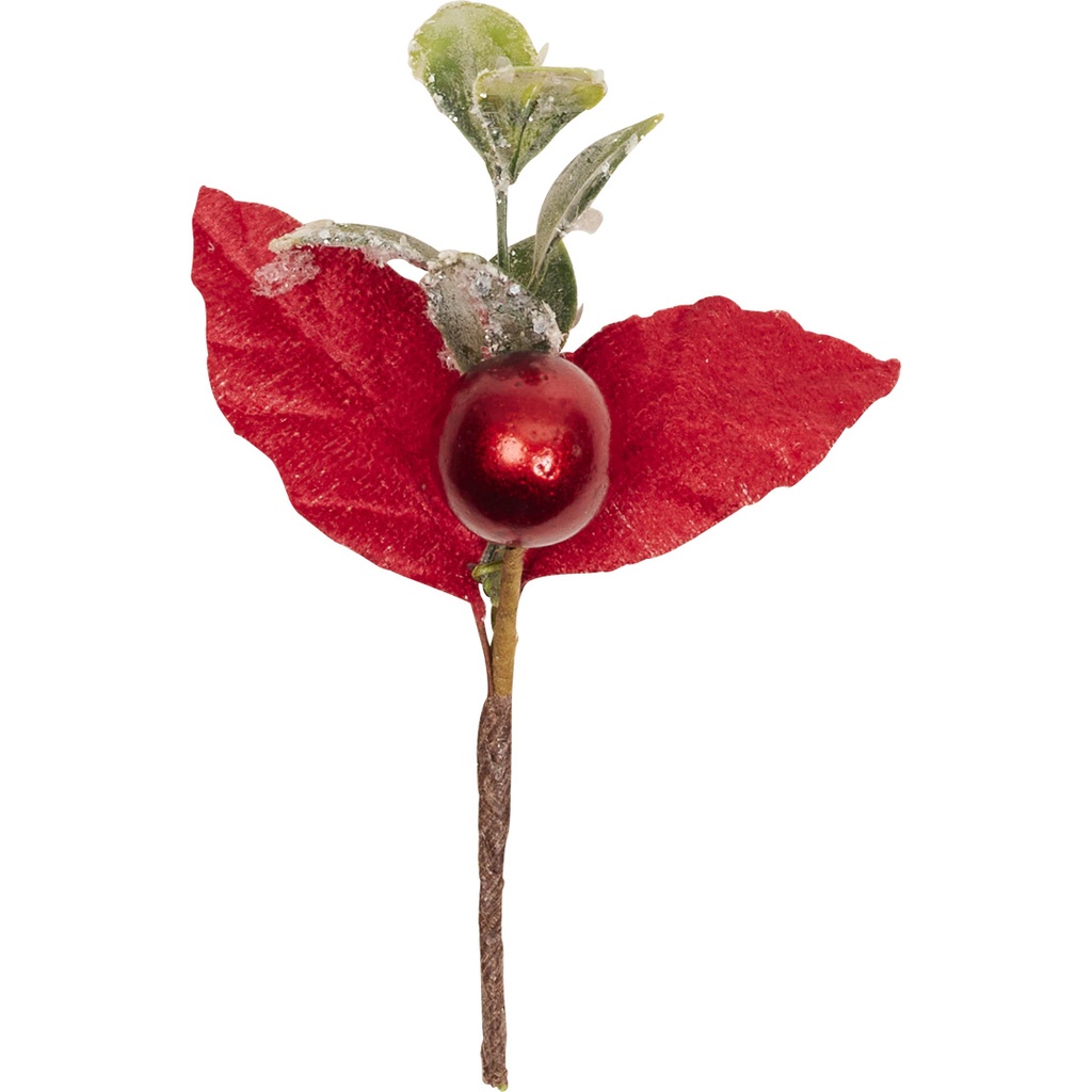 Where winter blooms pick 2