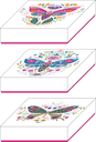 Flirt & Fly basic 09 assortment of 3
