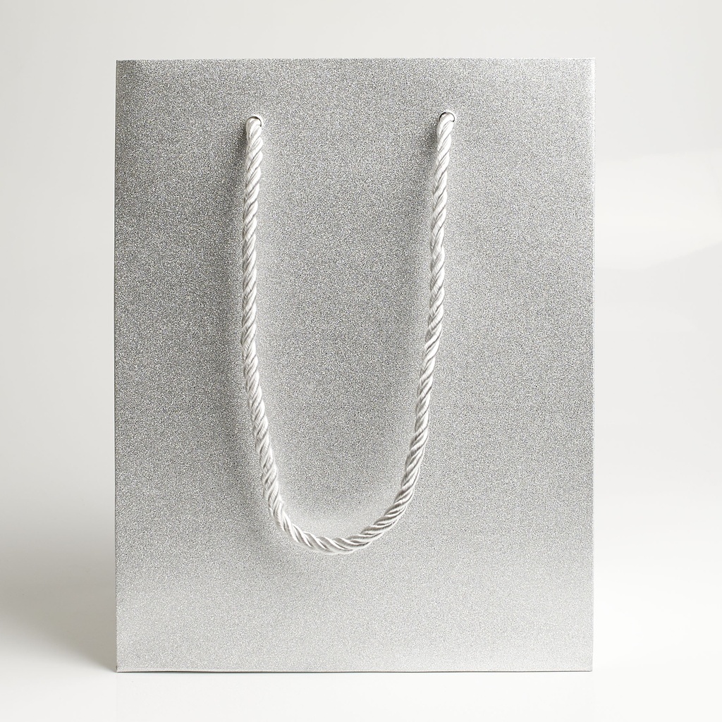 Luxury bag rectangular 18