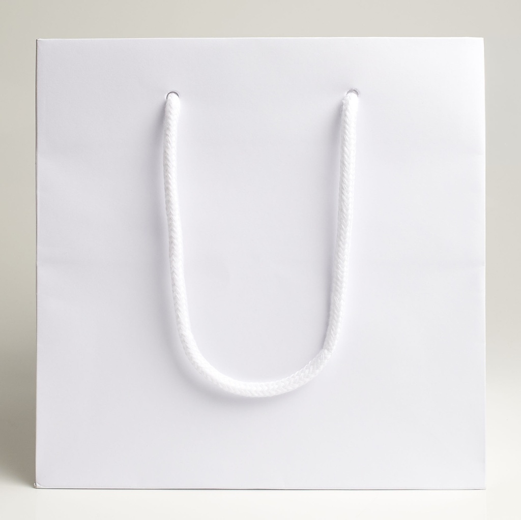 Luxury bag square 20