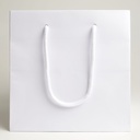 Luxury bag square 20