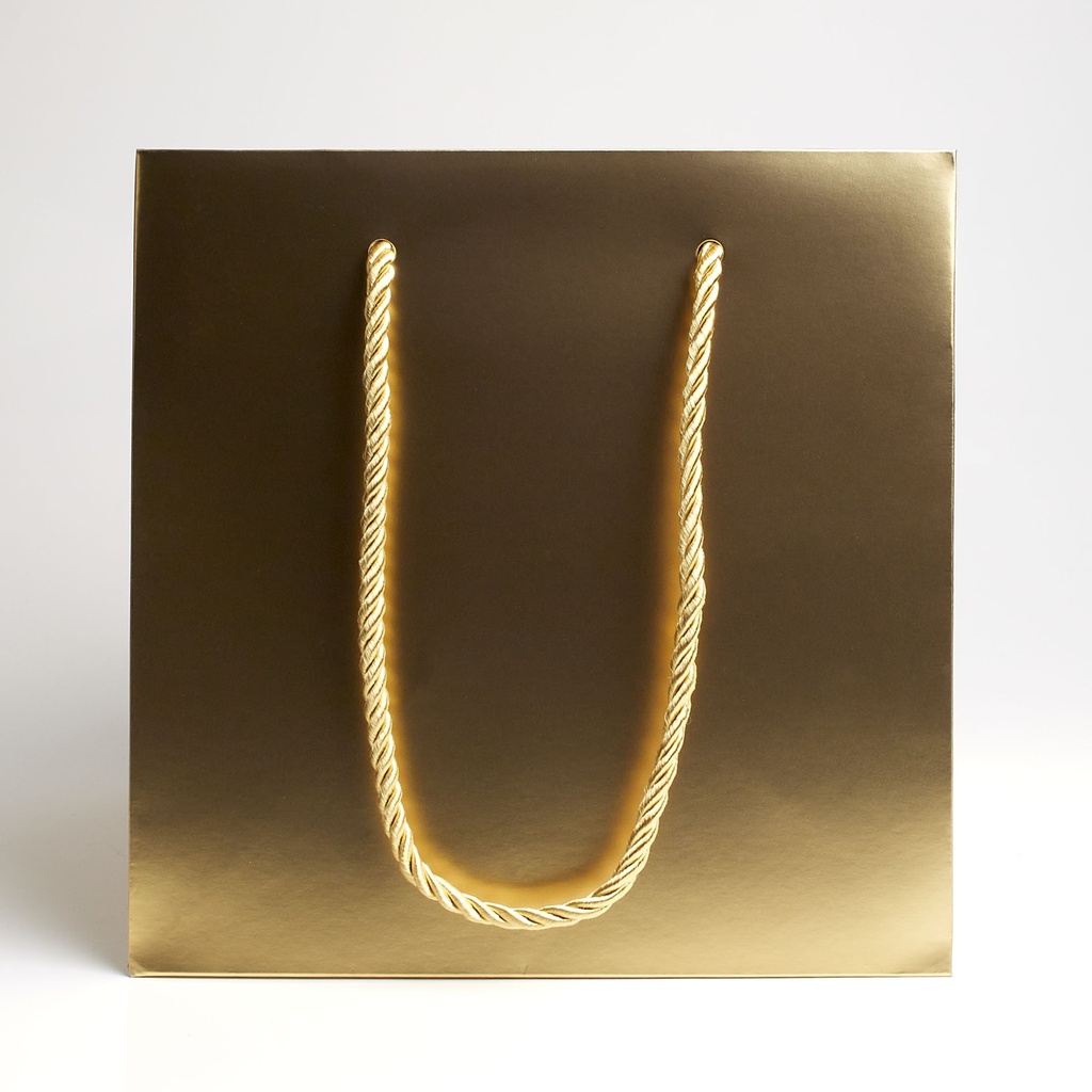 Luxury bag square 20