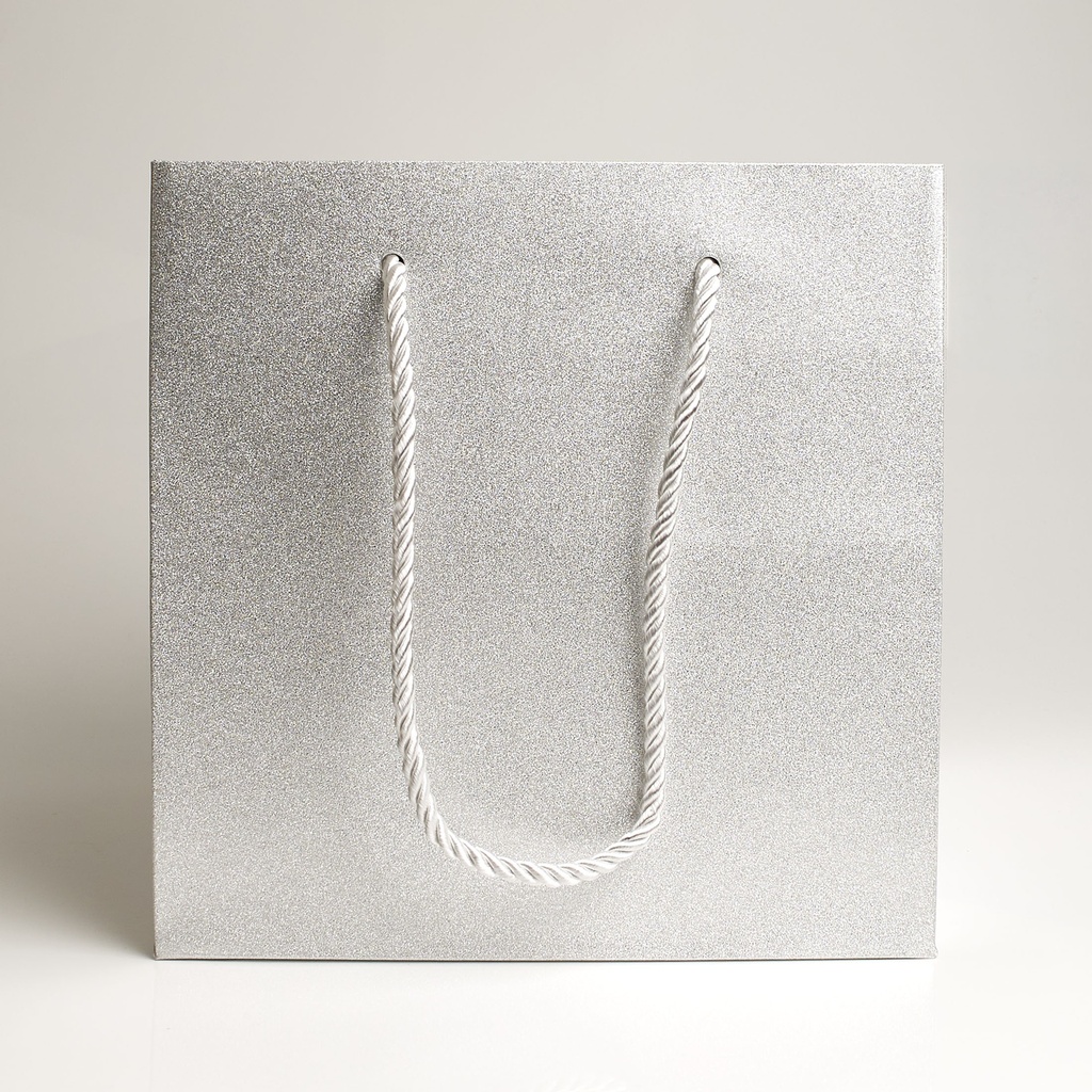 Luxury bag square 20