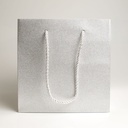 Luxury bag square 20