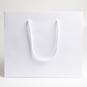 Luxury bag rectangular 25