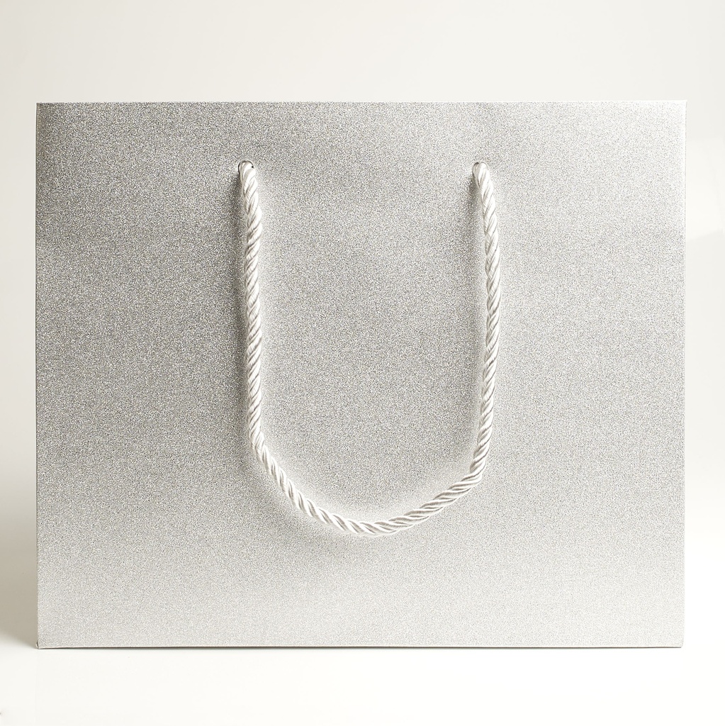 Luxury bag rectangular 25