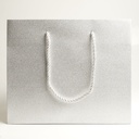 Luxury bag rectangular 25