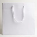 Luxury bag square 25
