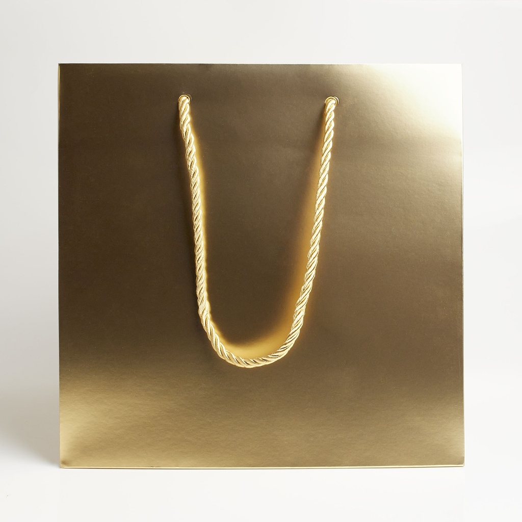 Luxury bag square 25