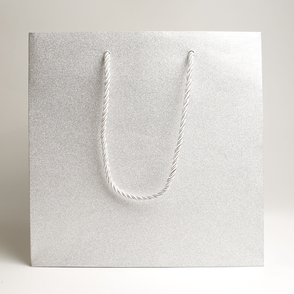 Luxury bag square 25