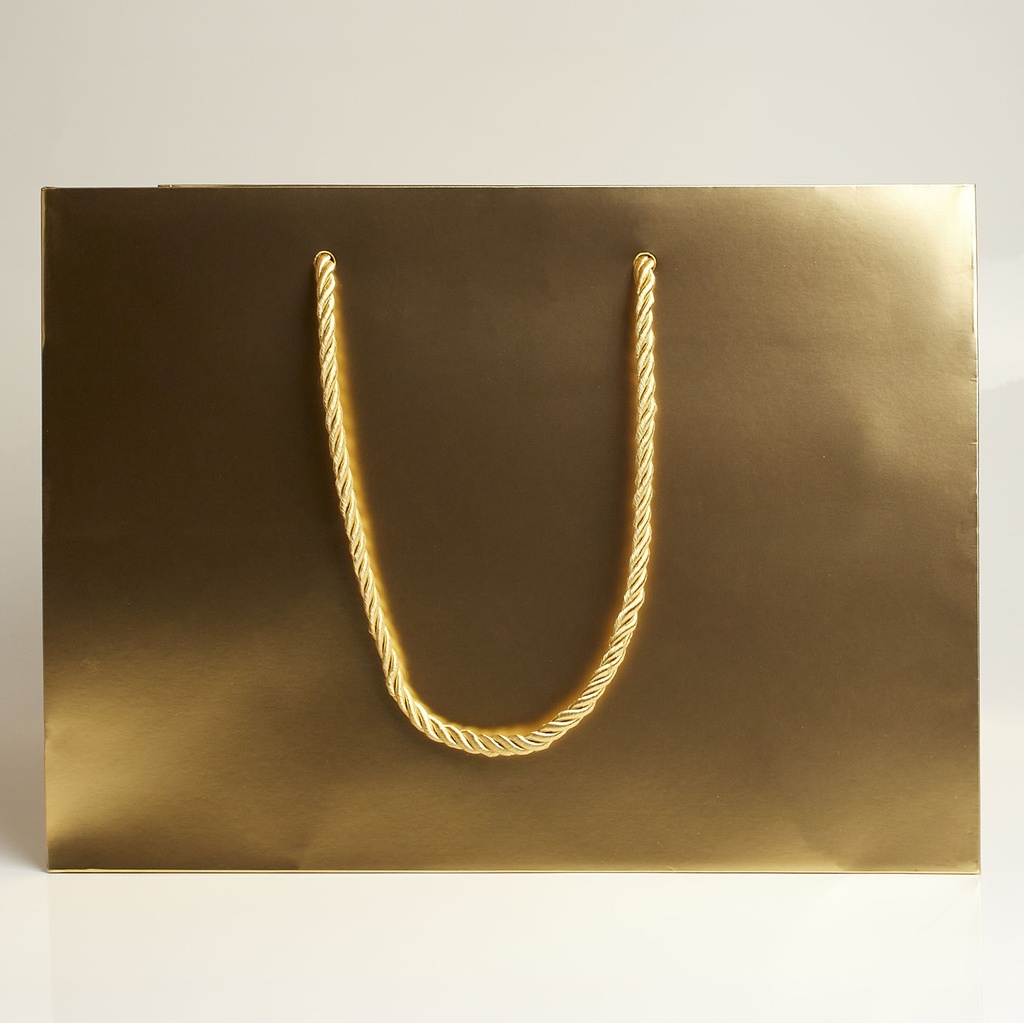 Luxury bag rectangular 30