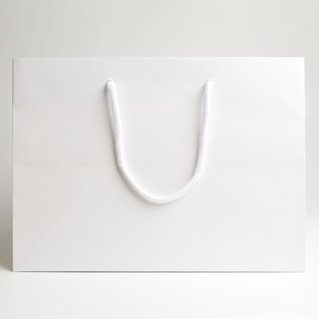 Luxury bag rectangular 30