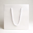 Luxury bag square 20