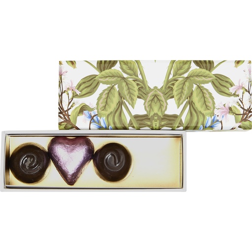 [5531*21*04*99] SECRET GARDEN basic reglet 04