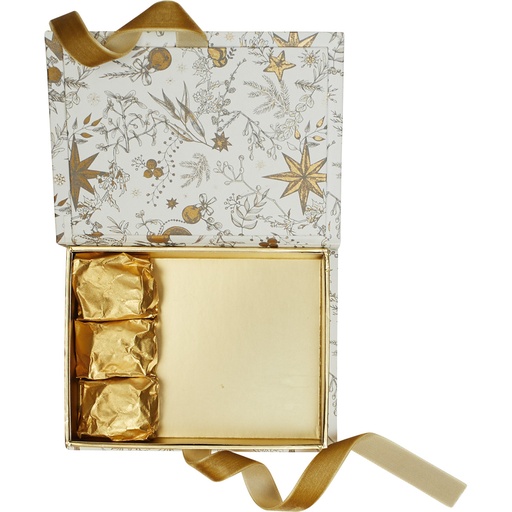 [5531*27*02*15] Snowgold plug rectangular box 