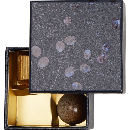 [5531*23*08*31] Giorgio basic 08