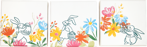 [EA01-BXR020999] The Gentle Bunnies basic 09 assortment of 3