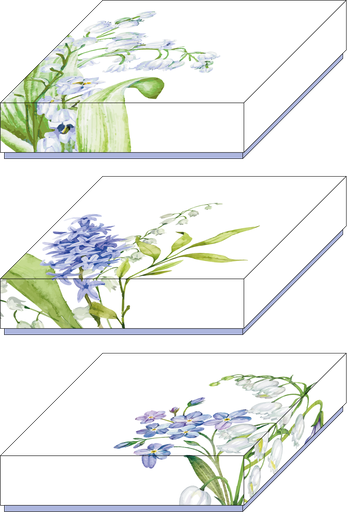 [EA01-BXR030999] May Bloom basic 09 assortment of 3