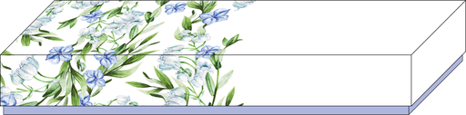 [EA01-BXR030599] May Bloom basic reglet 05