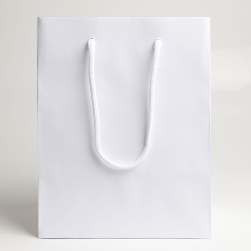 [BGL041801] Luxury bag rectangular 18
