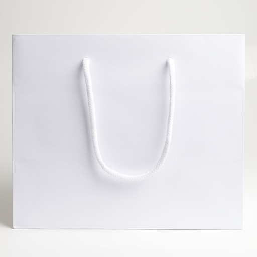 [BGL041501] Luxury bag rectangular 25
