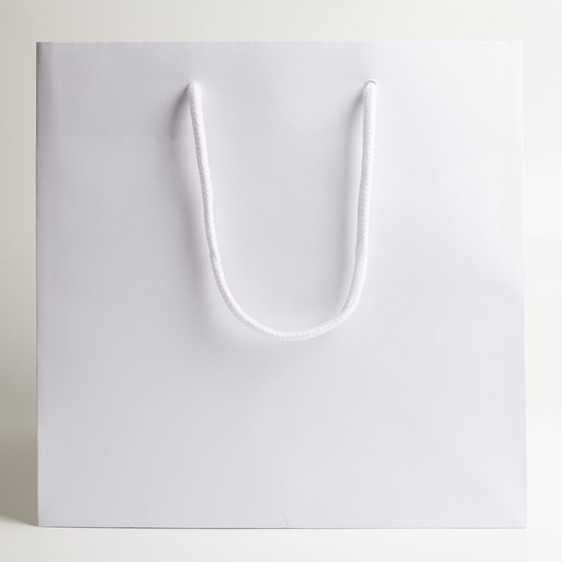 [BGL042501] Luxury bag square 25